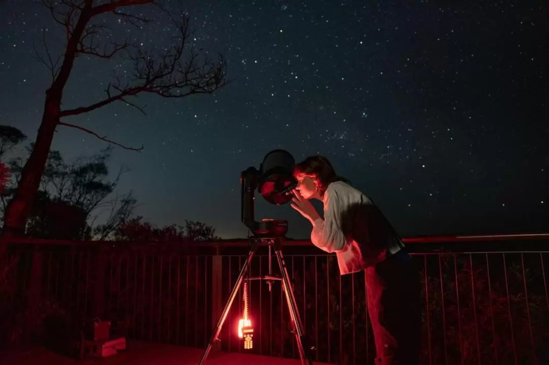 ジャービスベイ 星空観察体験