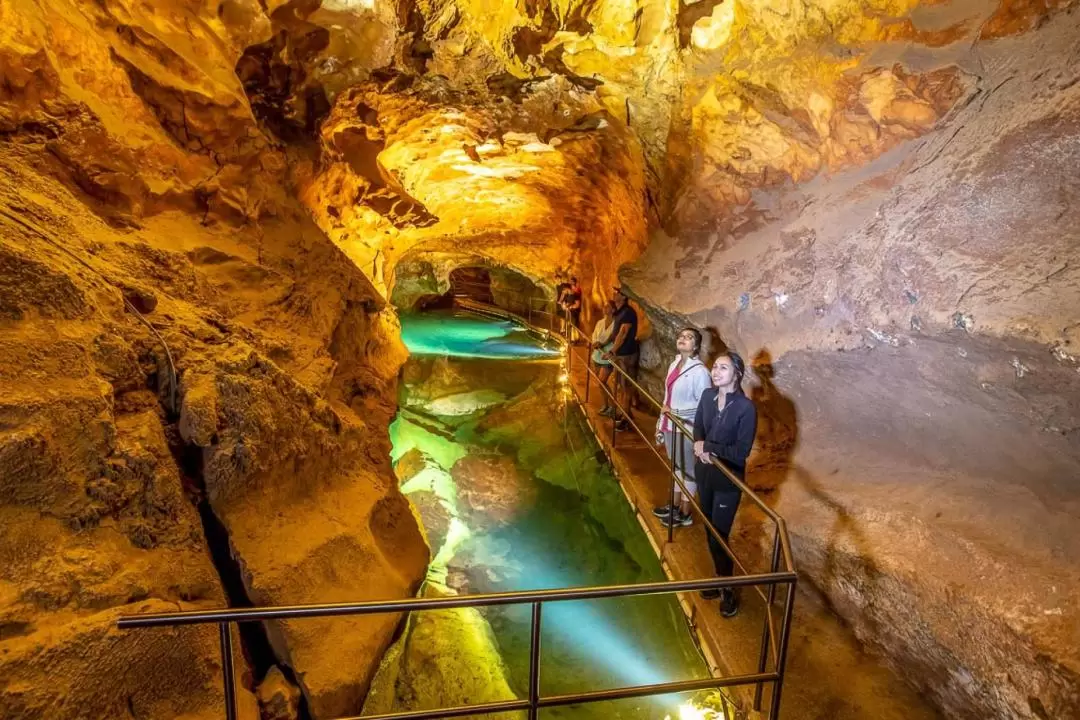 悉尼珍羅蘭鐘乳石洞（Jenolan Caves）& 藍山私人遊