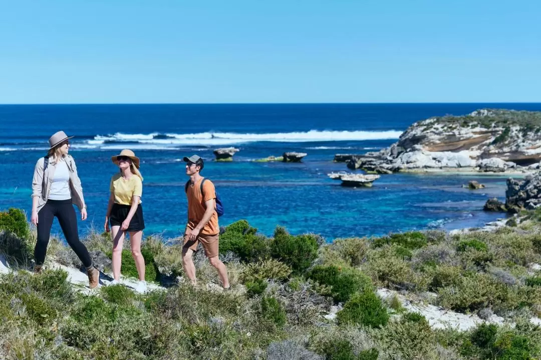 Wander The West End Guided Hike on Rottnest Island 