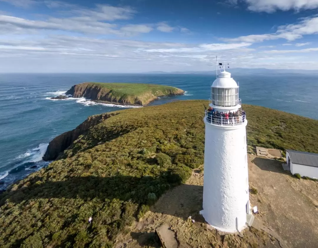 ブルーニー島 グルメ・観光・ブルーニー岬灯台 日帰りツアー（ホバート発）