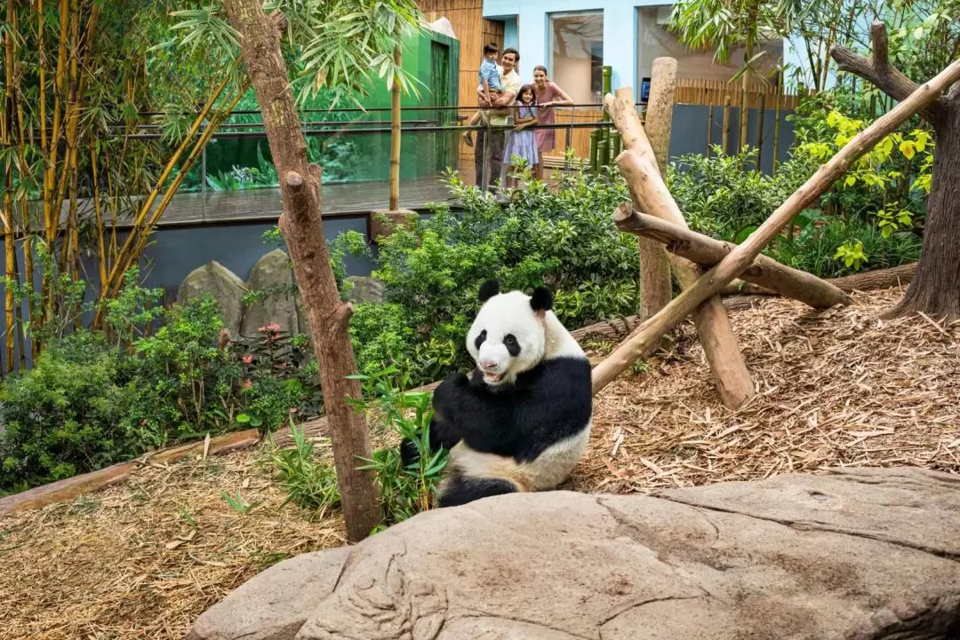 リバーワンダーズ 入園チケット（シンガポール）