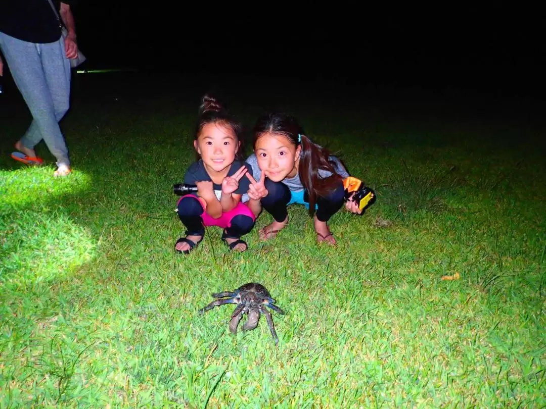 Natural Planetarium! Starry Sky & Subtropical Jungle Night Tour