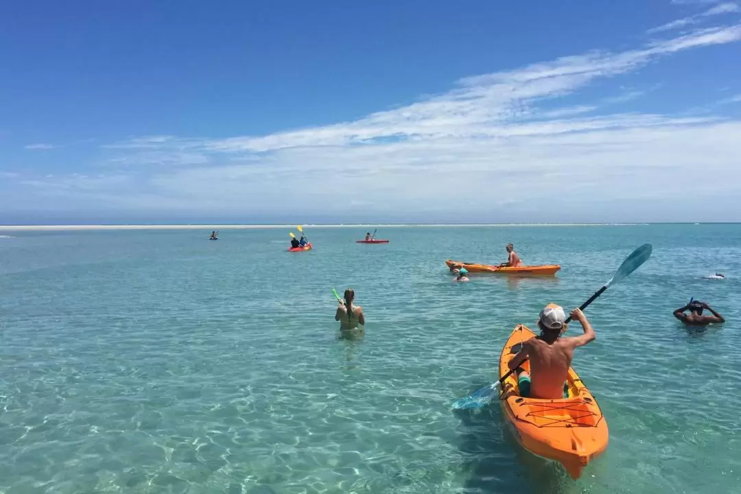 Whalesong Fraser Island Beach and BBQ Cruise from Sunshine Coast