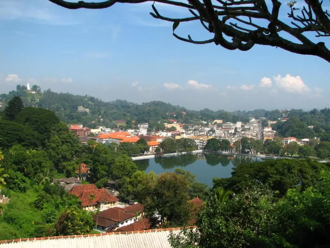 Kandy City Day Tour