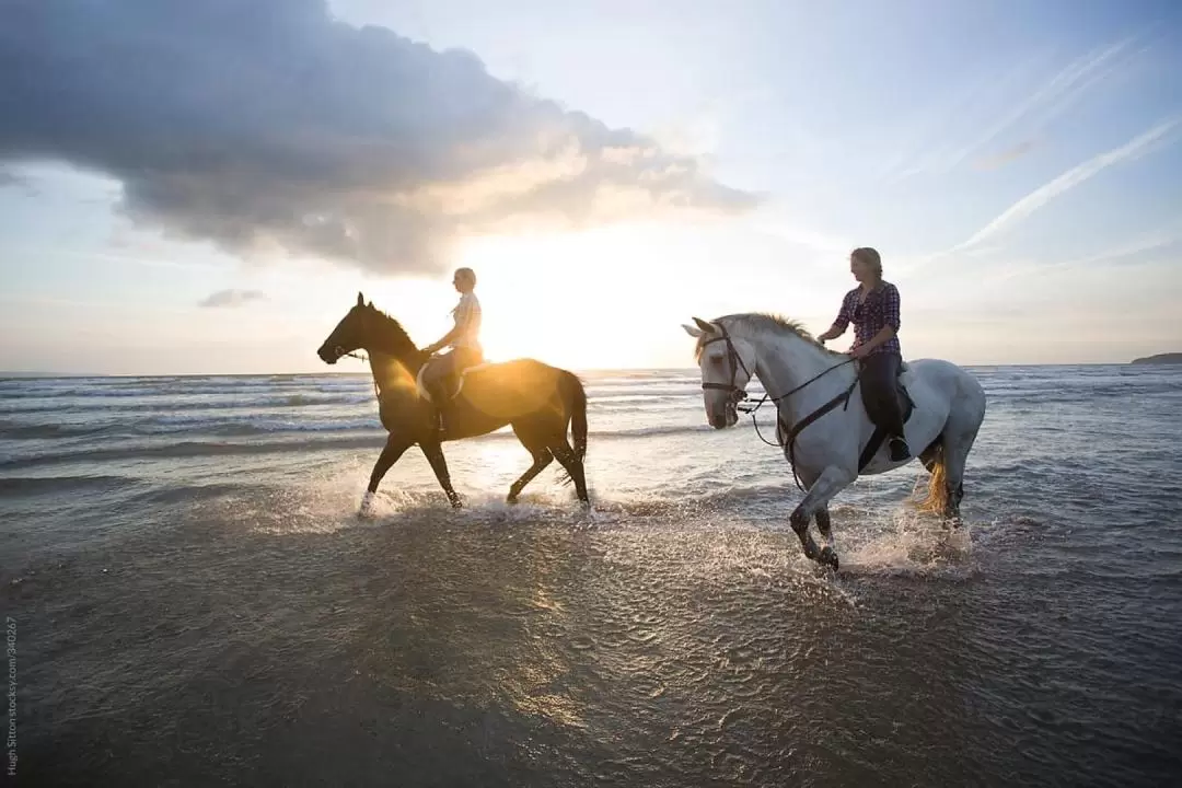 Horse Riding Combo Experience in Bali