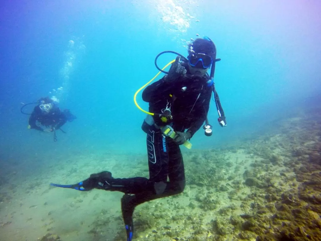 Gold Coast Introductory Scuba Diving Experience	