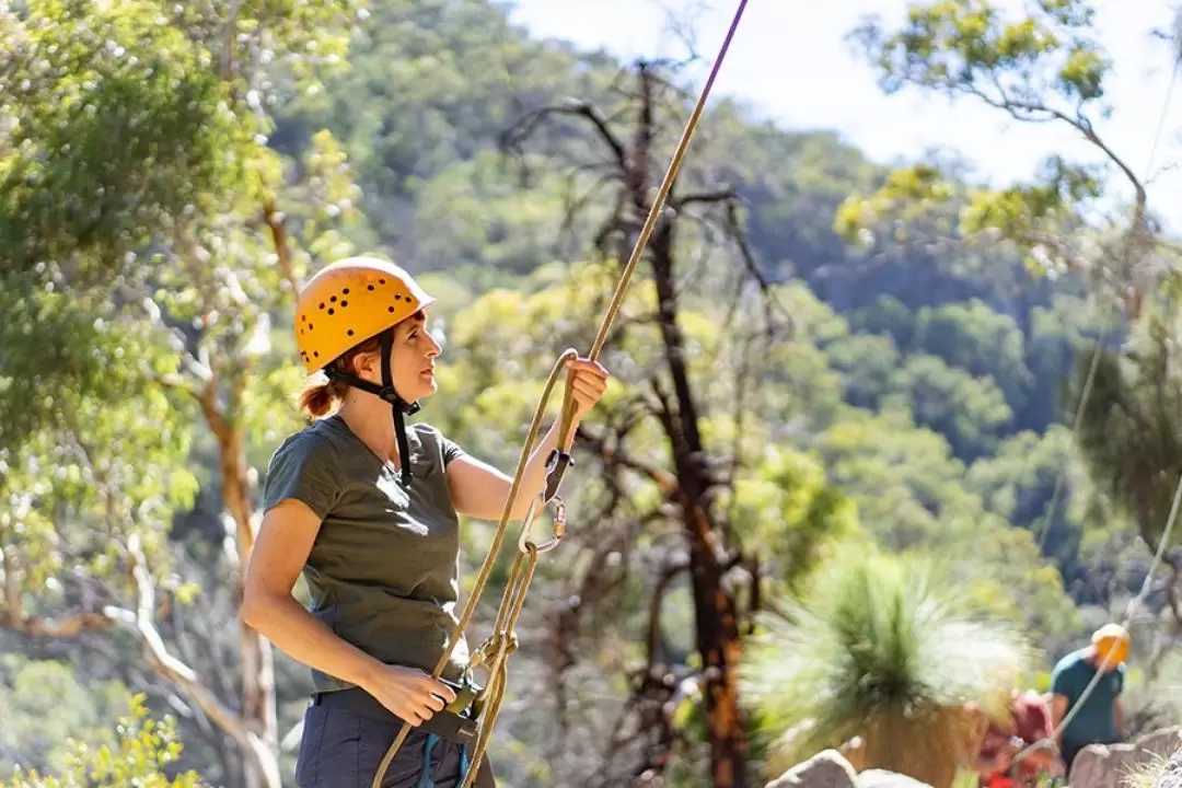 Rock Climb and Abseil Morialta