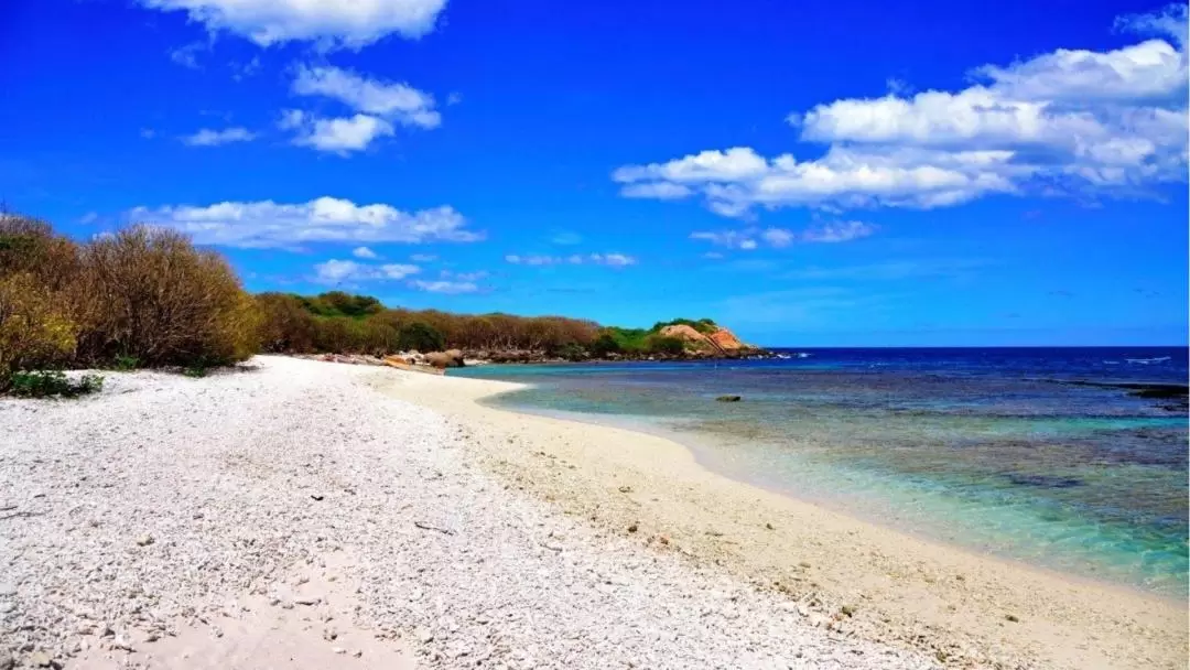 鴿子島國家公園浮潛體驗（亭可馬里出發）