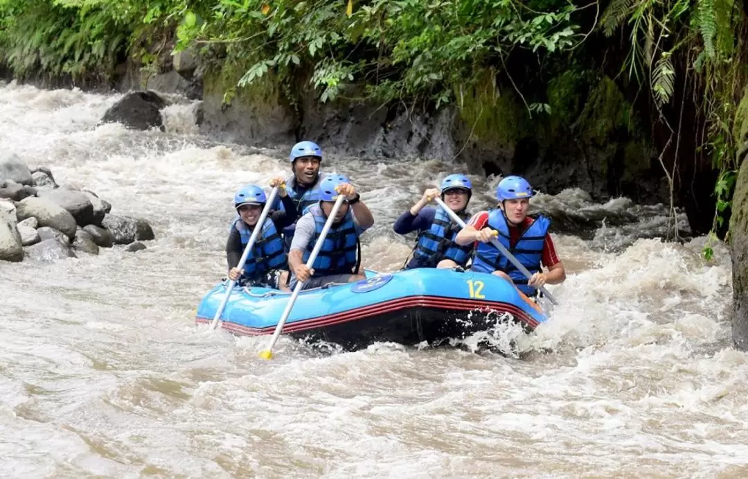 Ayung White Water Rafting