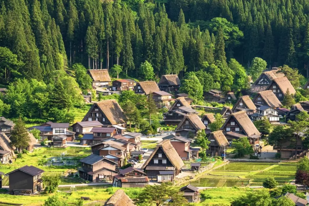 Gassho Zukuri Folk Village & Hida Takayama Day Tour from Nagoya