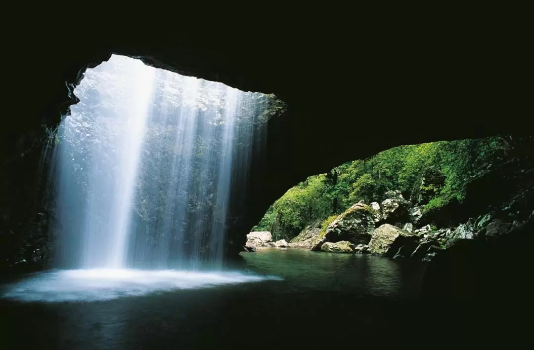 Natural Bridge and Springbrook Waterfalls Tour from Gold Coast