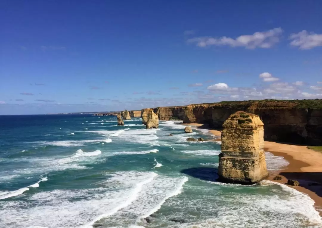 Boutique Great Ocean Road Reverse Itinerary Tour from Melbourne