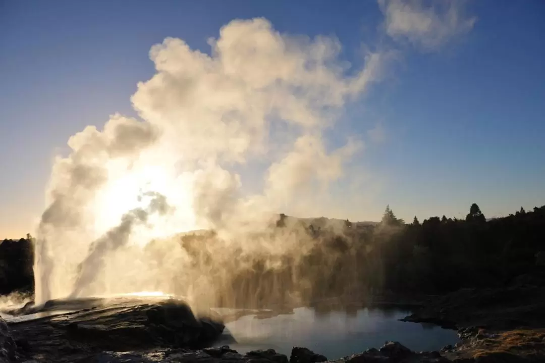 Te Puia Geothermal Valley Day Tour from Auckland