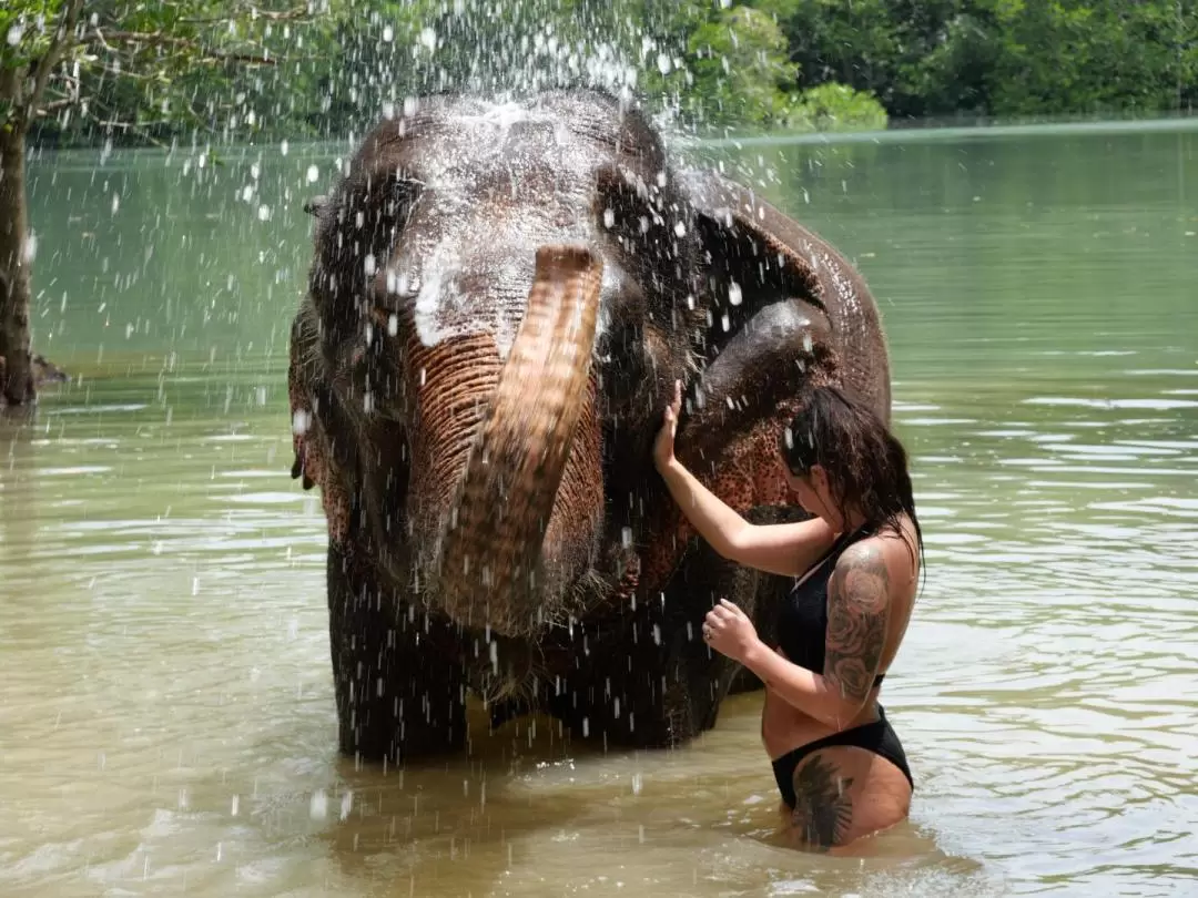 甲米大象保護區（Krabi Elephant Shelter）體驗