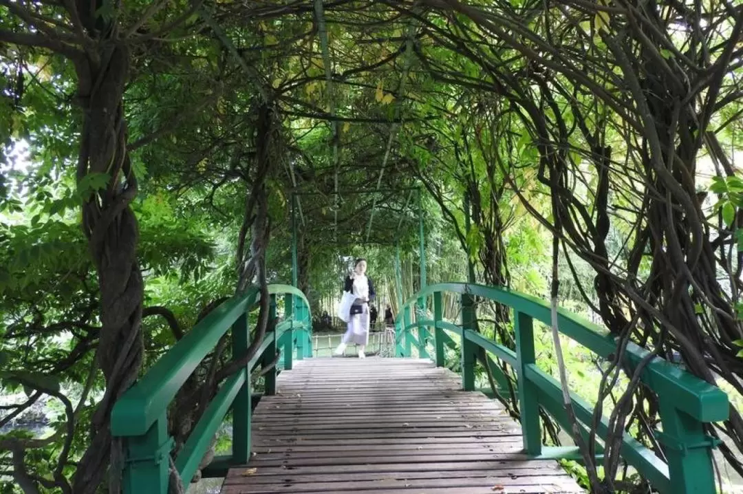 吉維尼莫內花園＆故居門票（含導覽）