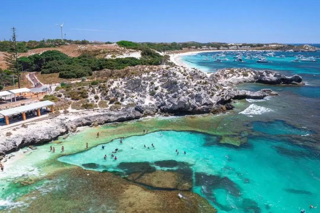 Rottnest Island Day Tour Package from Hillarys