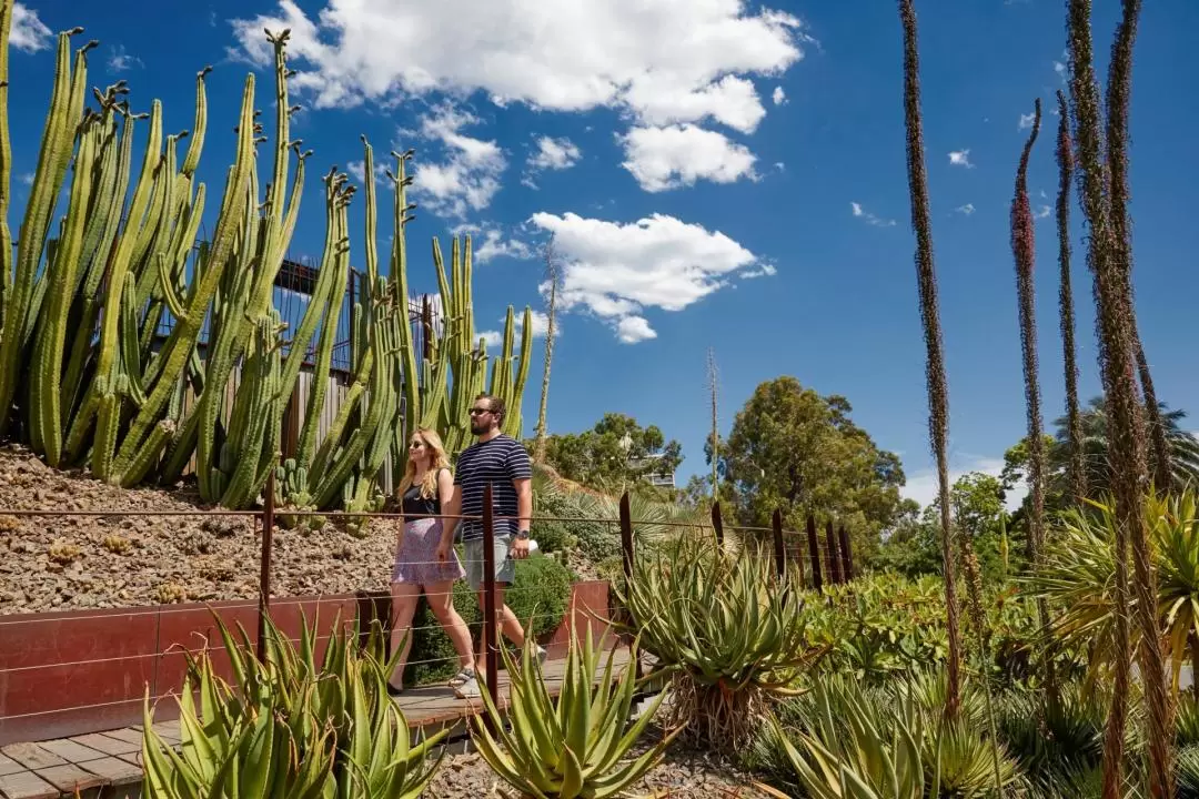 Royal Botanic Gardens Melbourne Tour