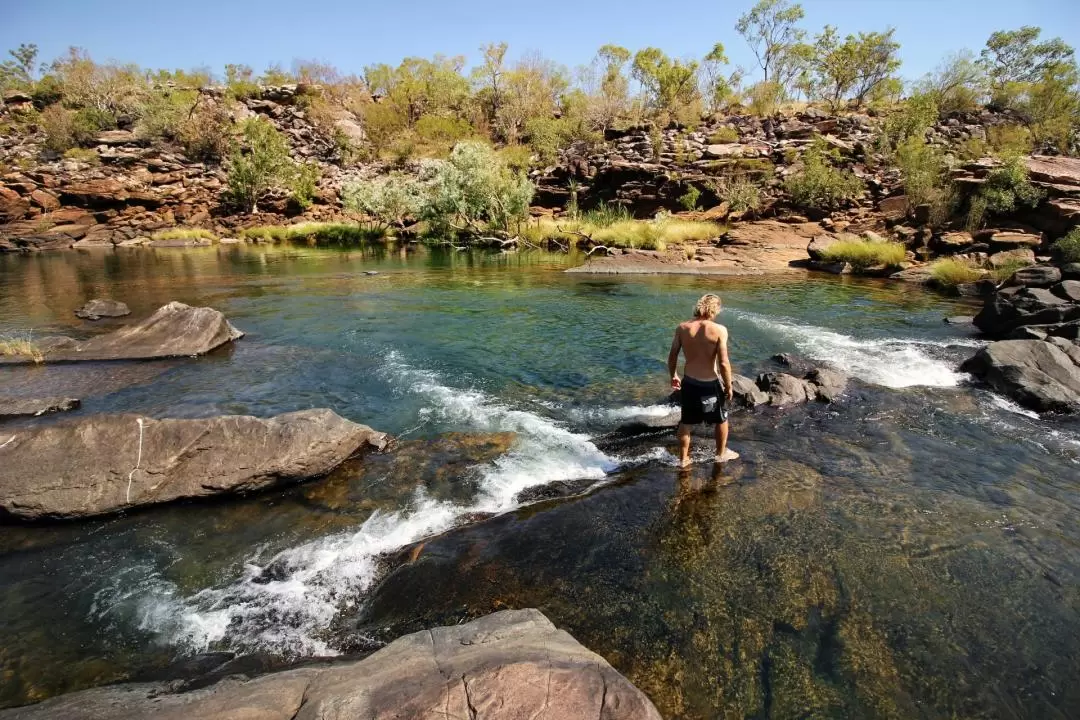 Day Trek to Mitchell Falls including Flights