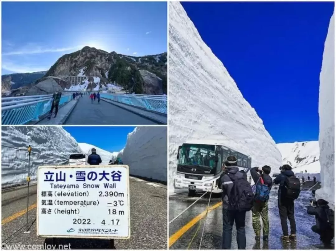 2D1N Kamikochi & Tateyama Kurobe Alpine Route/Kusatsu Onsen Tour 