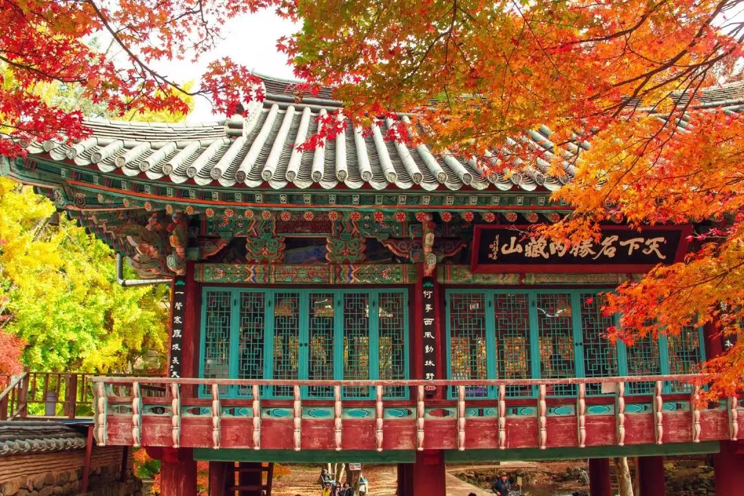 Naejangsan National Park Autumn Maple Day Tour from Seoul