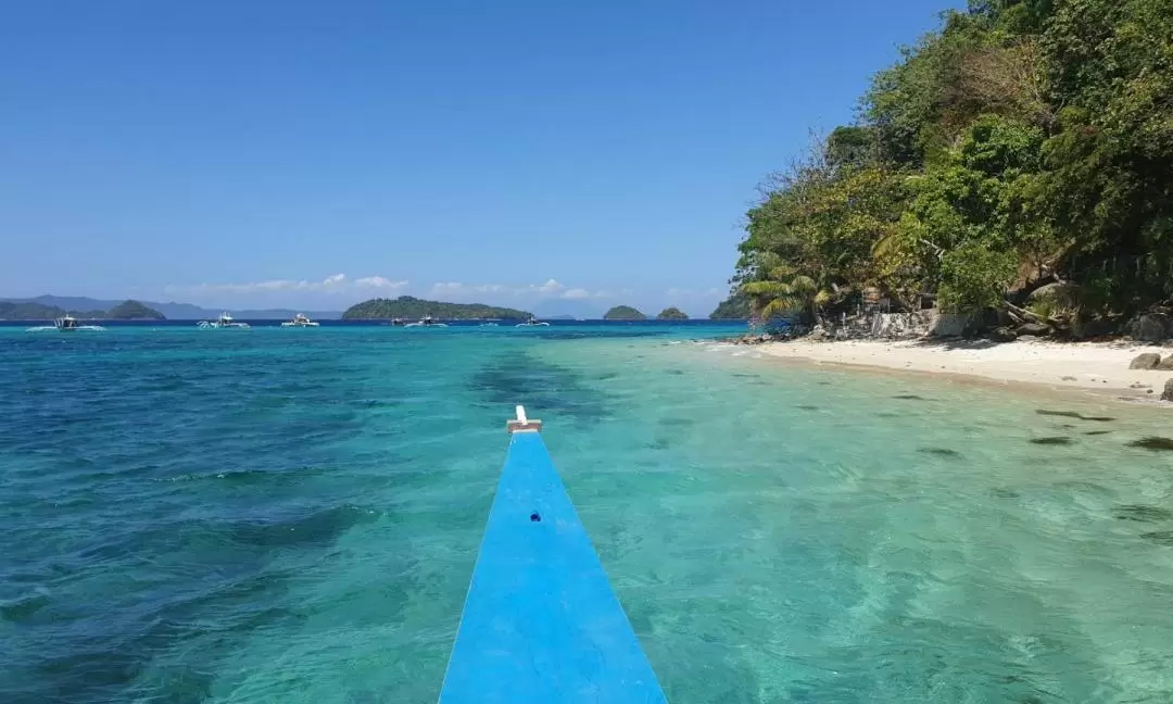 パラワン島ポートバートン 島めぐりツアー（サンビセンテ発）