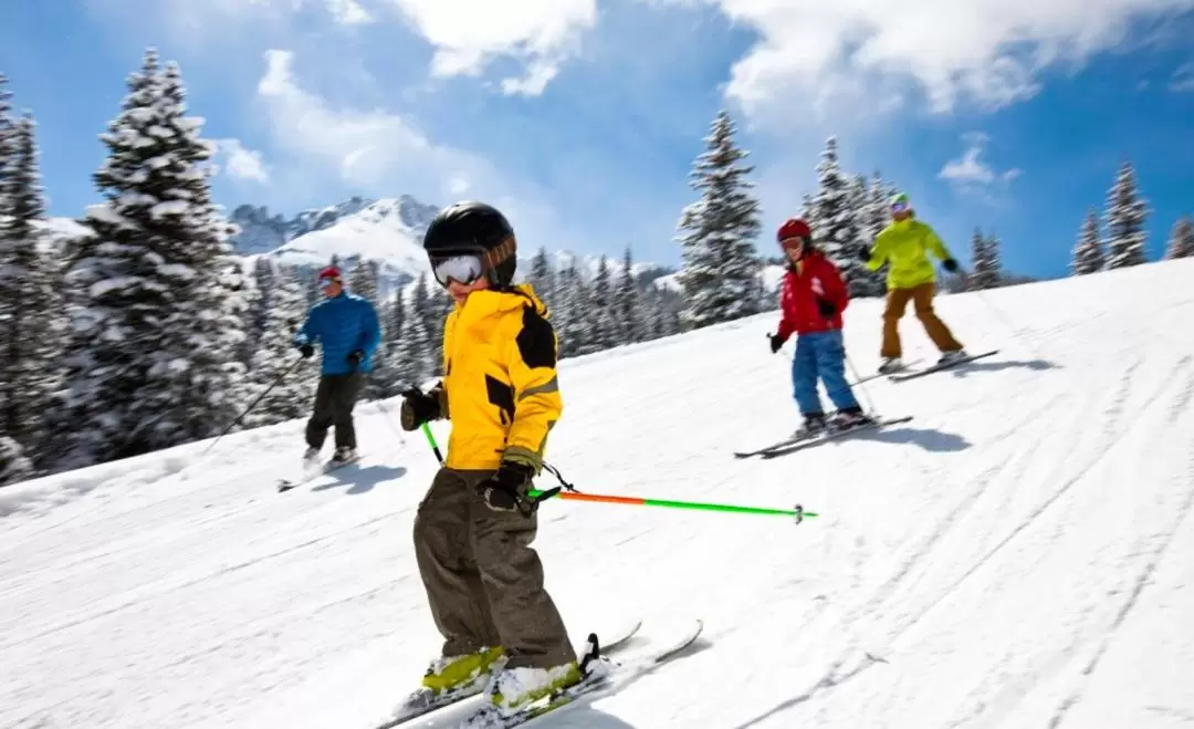 羅瓦涅米拉普蘭越野滑雪體驗