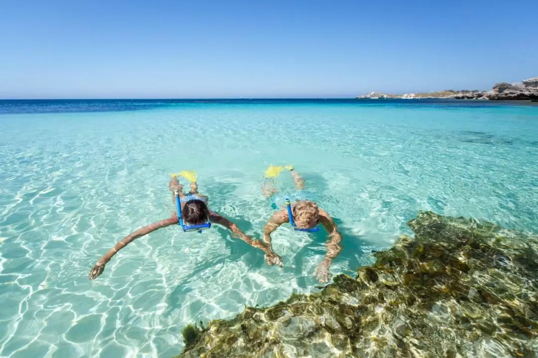 Rottnest Island Ferry, Bike, Snorkel Trip from Fremantle or Perth