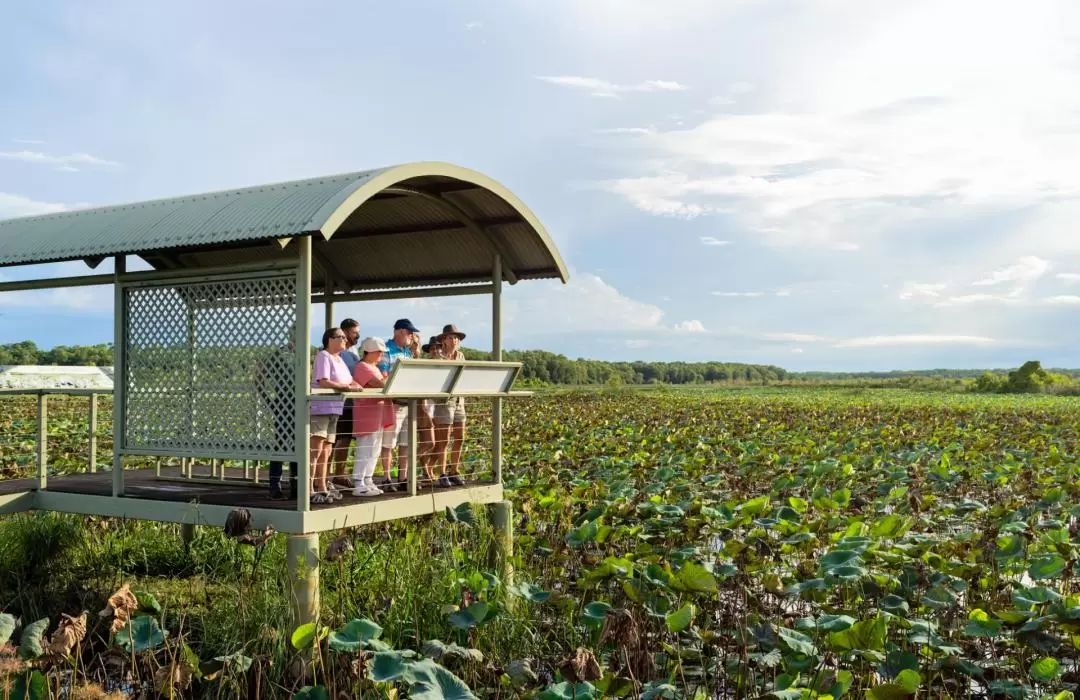 Litchfield National Park Day Tour from Darwin