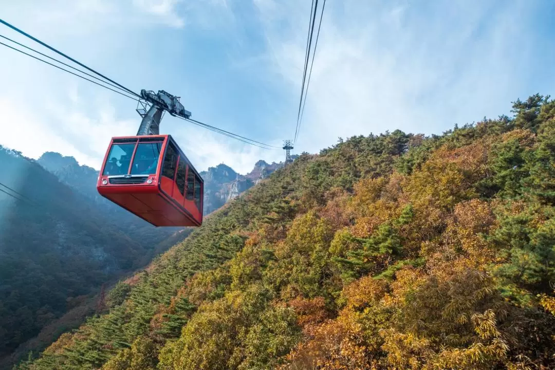 Daedunsan Autumn Maple Day Tour from Seoul