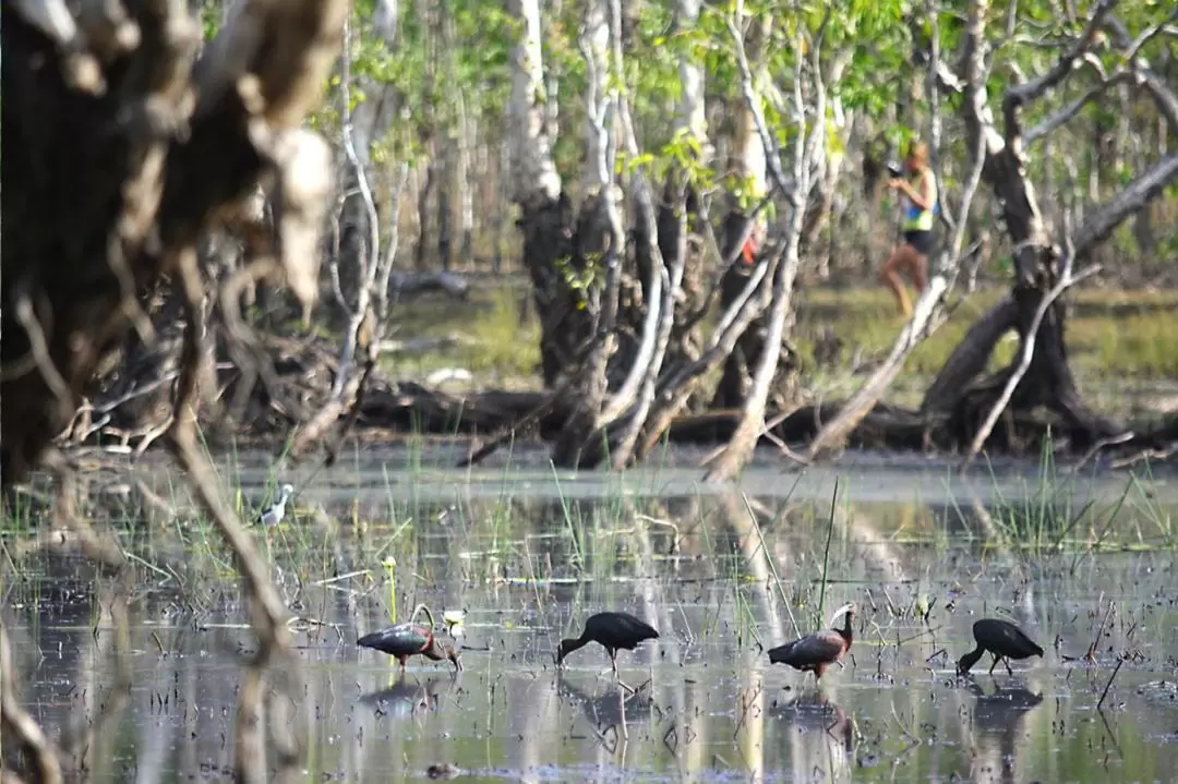 Litchfield Small Group Day Tour from Darwin