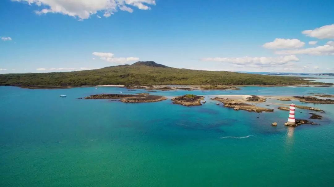 Rangitoto Island Ferry Tickets from Auckland