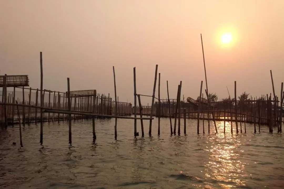 Half-Day Tam Giang Sunset Tour with Dinner on Floating Restaurant