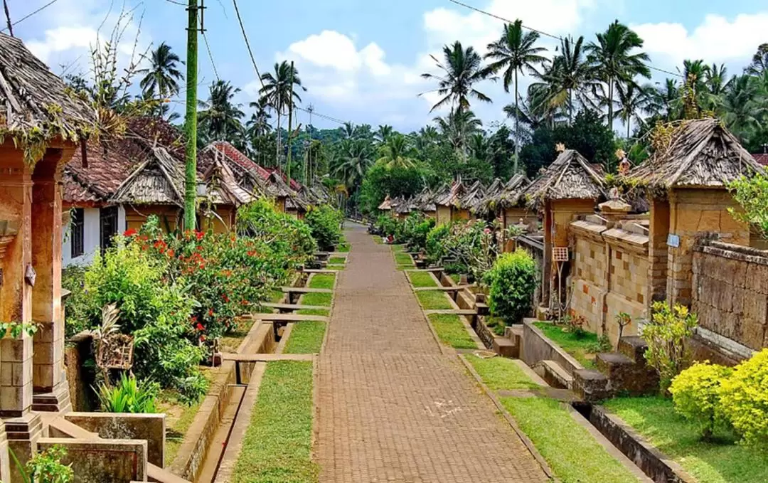 Penglipuran Bali Traditional Tour with Ubud, Natures, and Temple