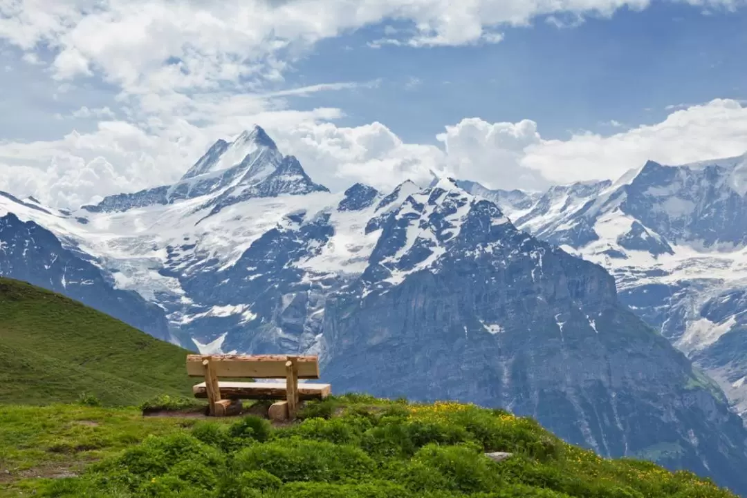 Grindelwald First Top of Adventure Tour from Lucerne 