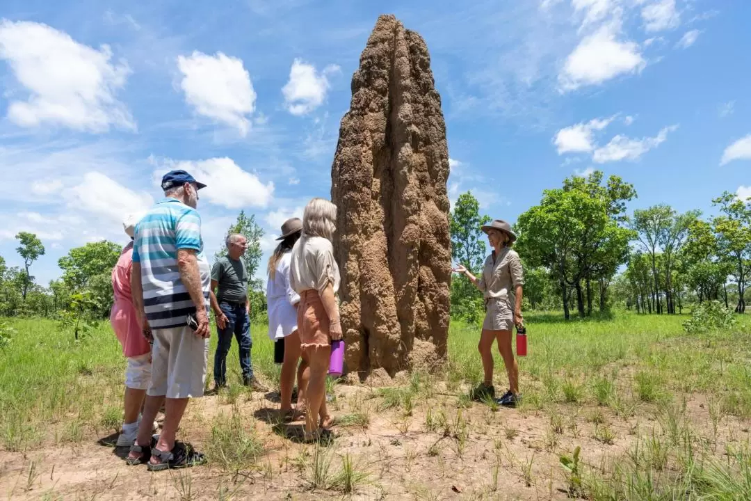 Litchfield National Park Day Tour from Darwin