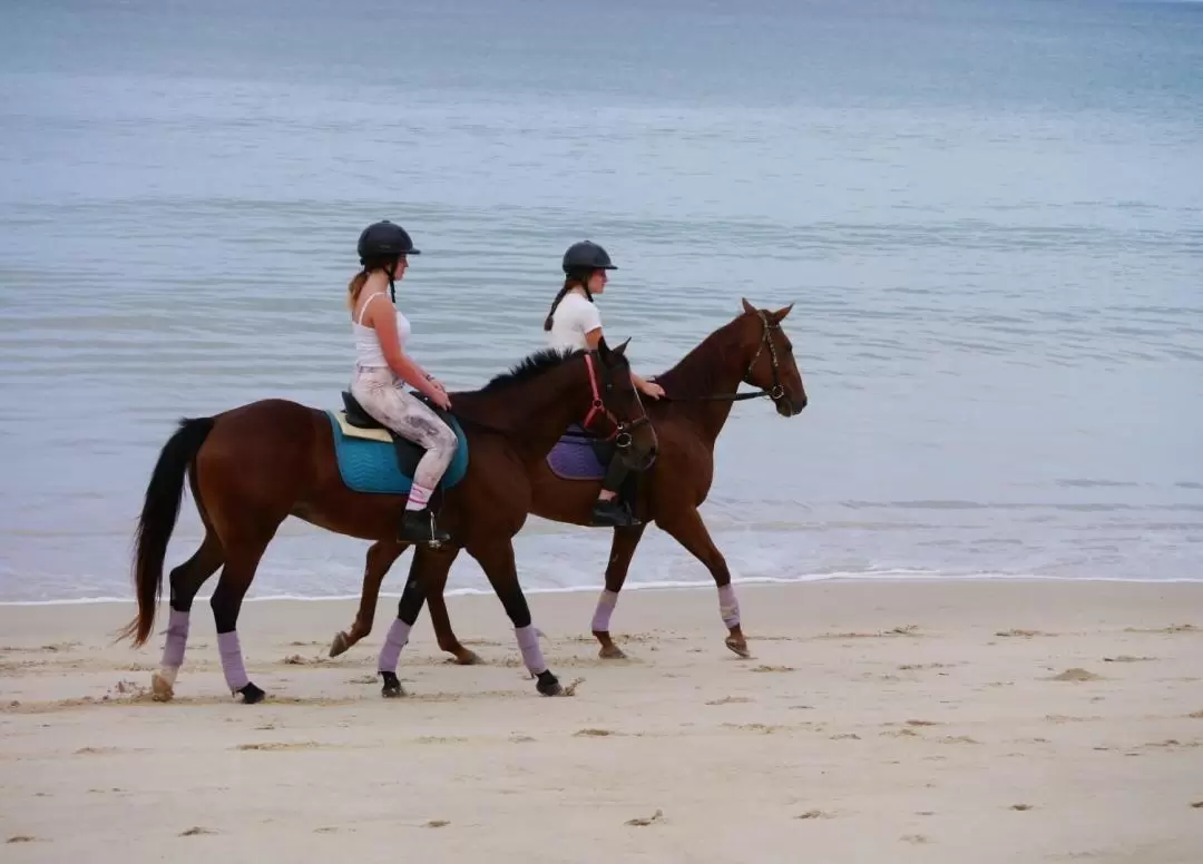 Horseback Riding Experience in Phuket