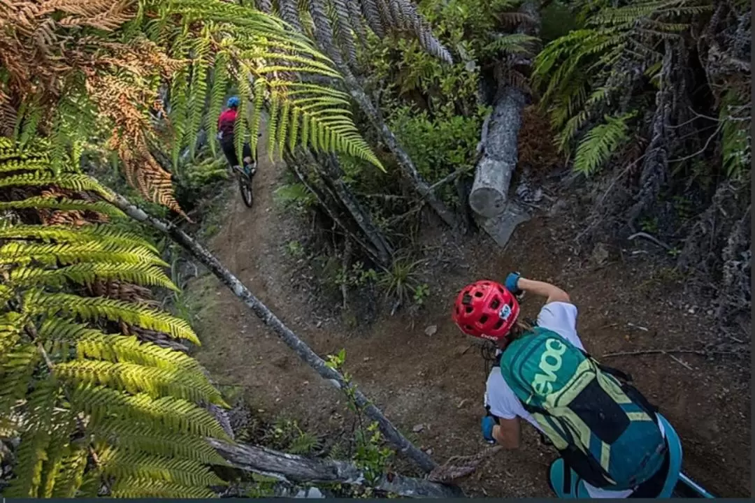 Big Day of Mountain Biking around Wellington