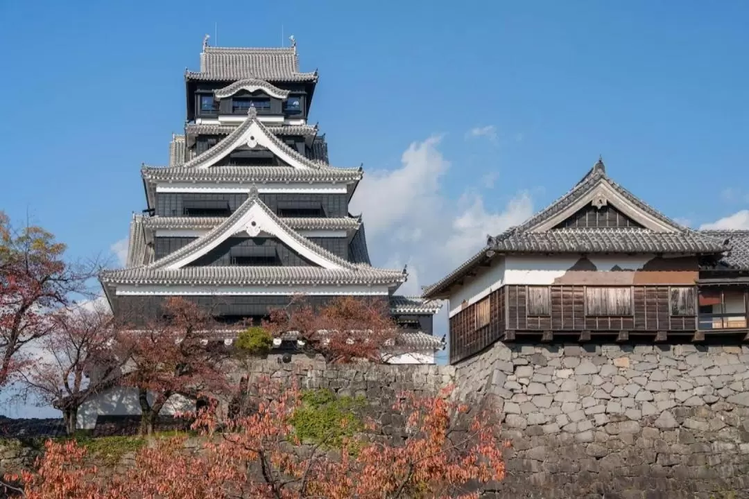 九州 日帰りプライベートツアー（貸切チャーター付き / 別府・熊本・阿蘇・福岡・長崎・北九州・唐津）