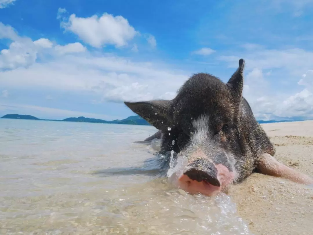 旦島（Koh Tan ）& 麥蘇姆島（Koh Mudsum）一日遊（蘇梅島出發）