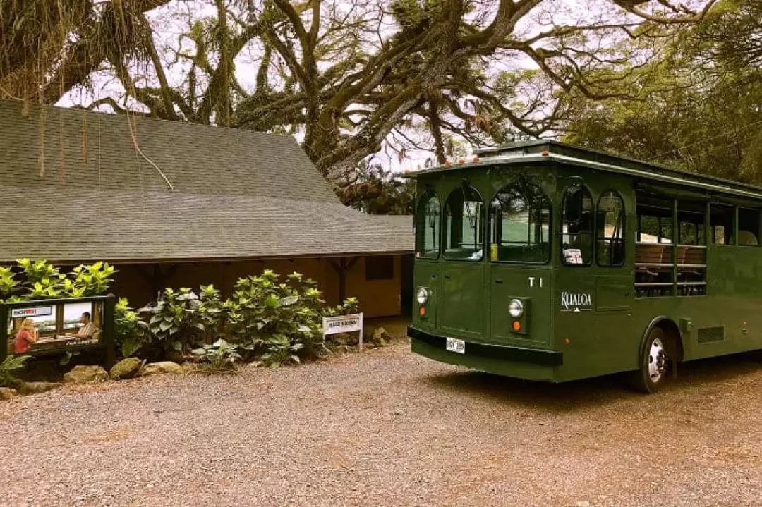 Kualoa Ranch Surf & Turf Tour