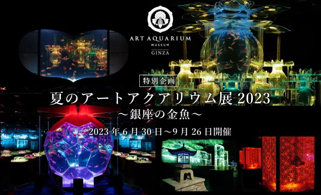 アートアクアリウム美術館 GINZA 入館チケット (東京)