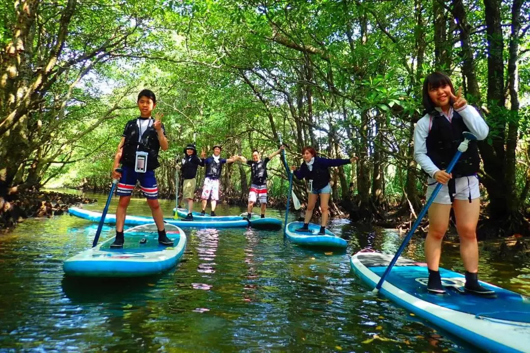 Iriomote Island Splash Canyoning and SUP or Canoe at Mangrove Forest 