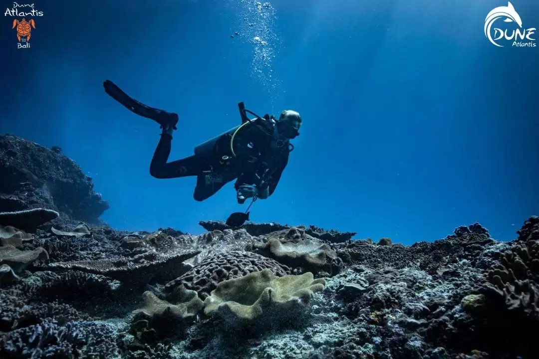 Fun Diving Experience in Bali by Dune Atlantis