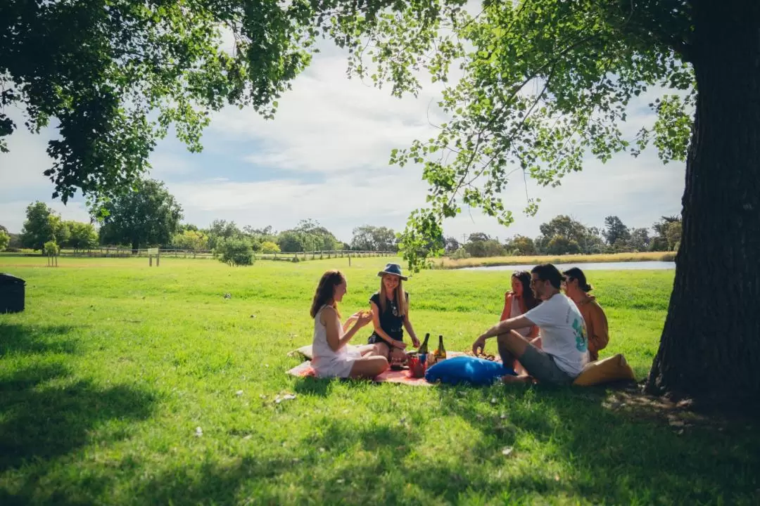 Red Hill Rail Trail Adventure Picnic! Pedal and Picnic - Half Day