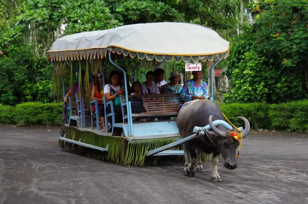 Villa Escudero Day Tour from Manila by Vina Tour (비나투어)