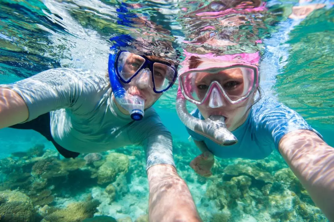 Giftun Island Snorkeling Day Tour 