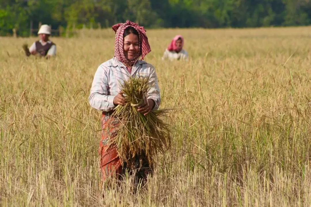 Siem Reap: Morning Countryside Bike Tour