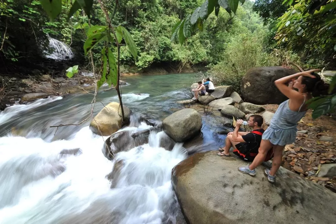 3D2N Khao Sok National Park Tour from Phuket and Khaolak