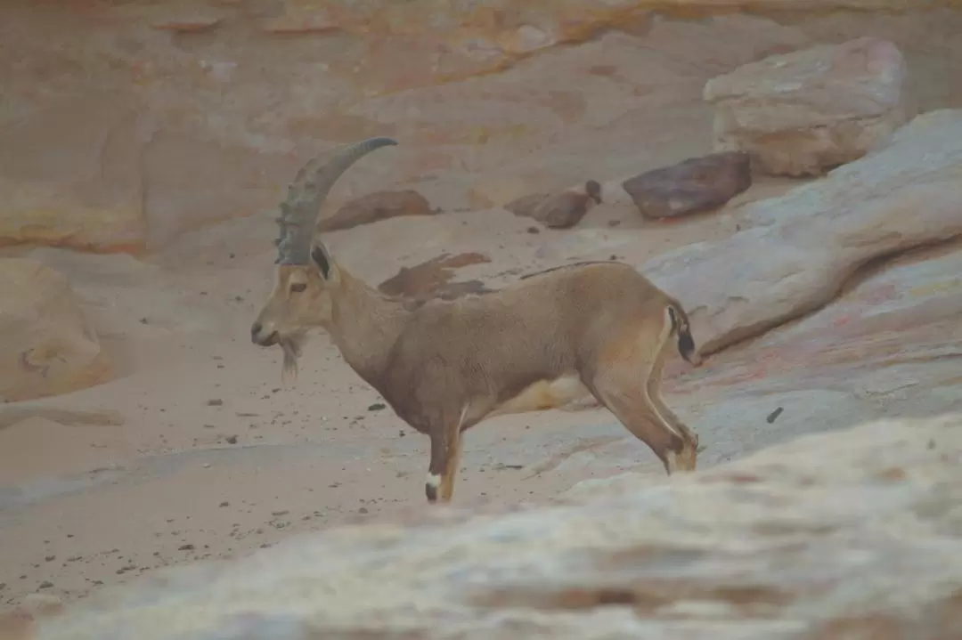 Wadi Mujib Siq徒步探索体验