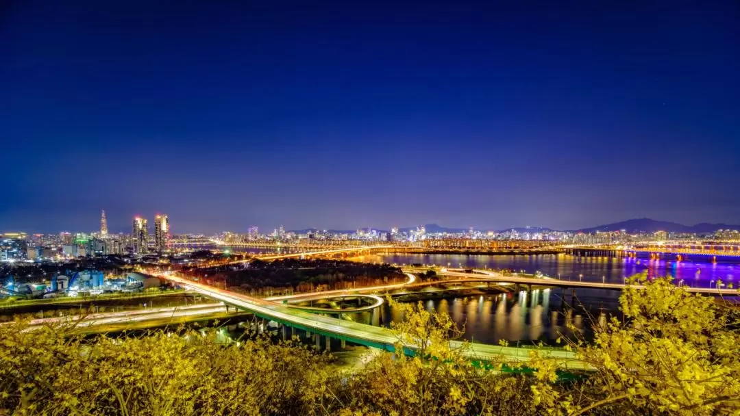 首爾市夜景一日遊